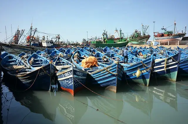 Essaouira coast